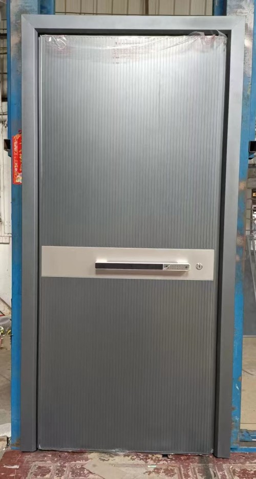 Stainless steel entrance door